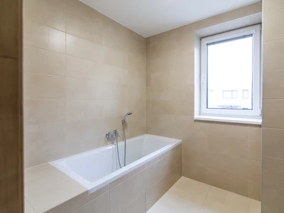 Třebíč, BD ul. Modřínova